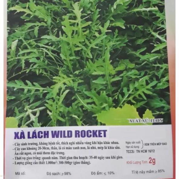 Hạt giống xà lách rocket - gói 2 gram