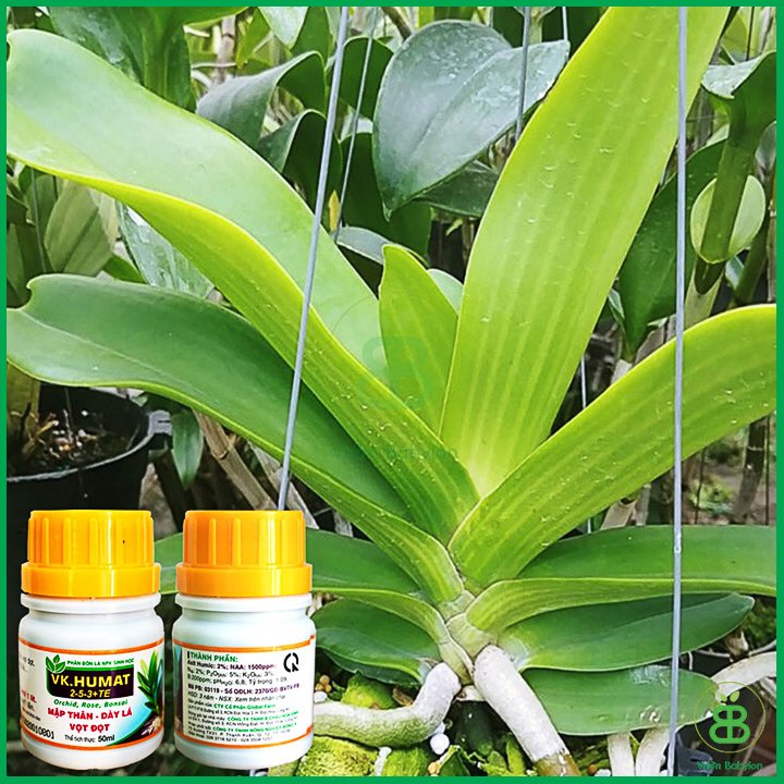 Phân Bón Lá Sinh Học Mập Thân, Dày Lá, Vọt Đọt Vk.Humat 50Ml