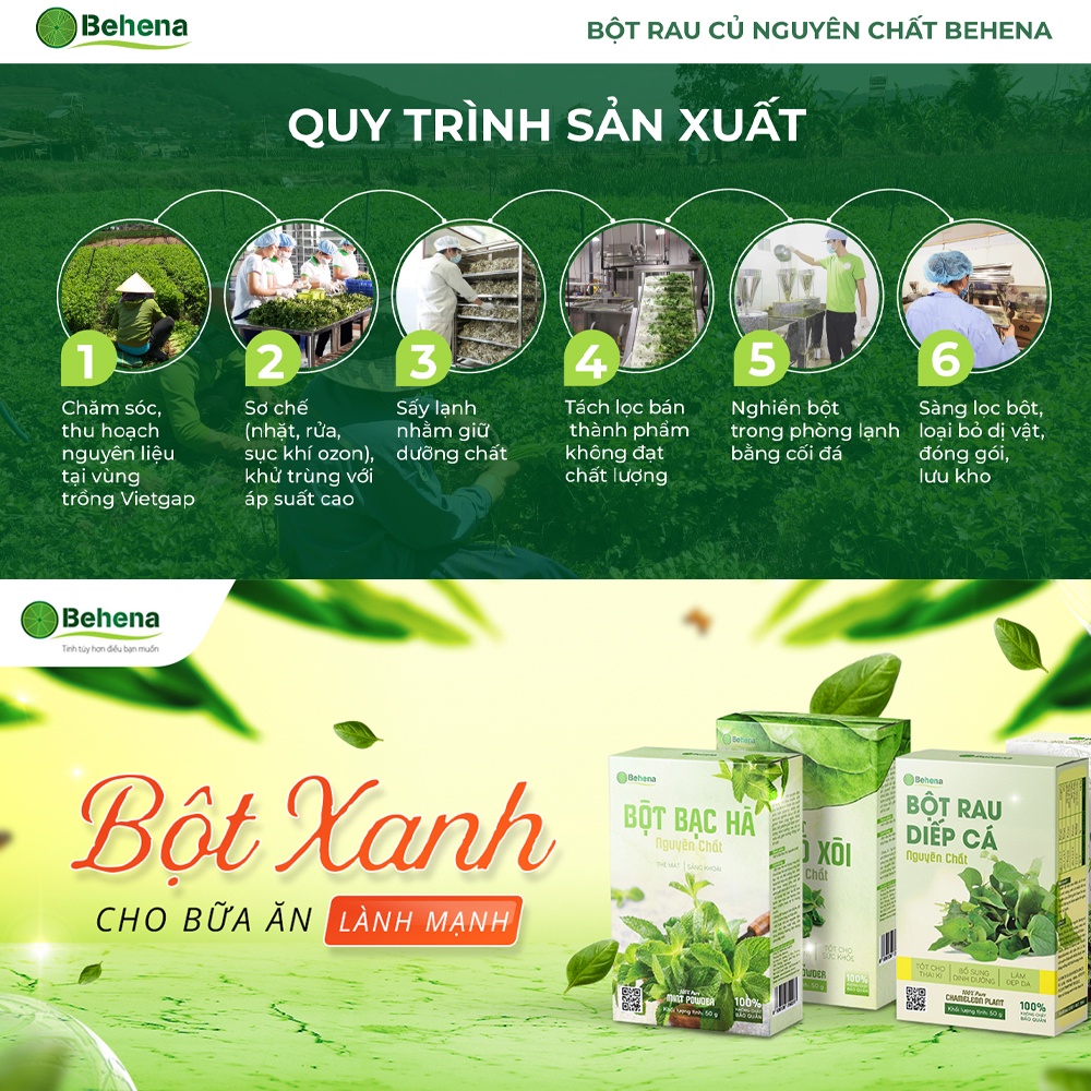 Bột Cần Tây Sấy Lạnh Behena hộp 50gr