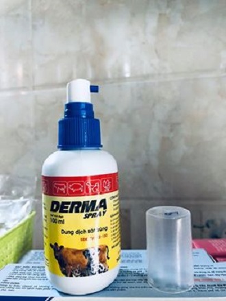 DERMA SPRAY dung dịch sát trùng vết thương 100ml