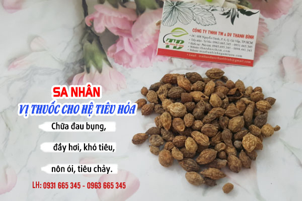 Cây Sa Nhân Khô 100g - Dược Liệu Thanh Bình