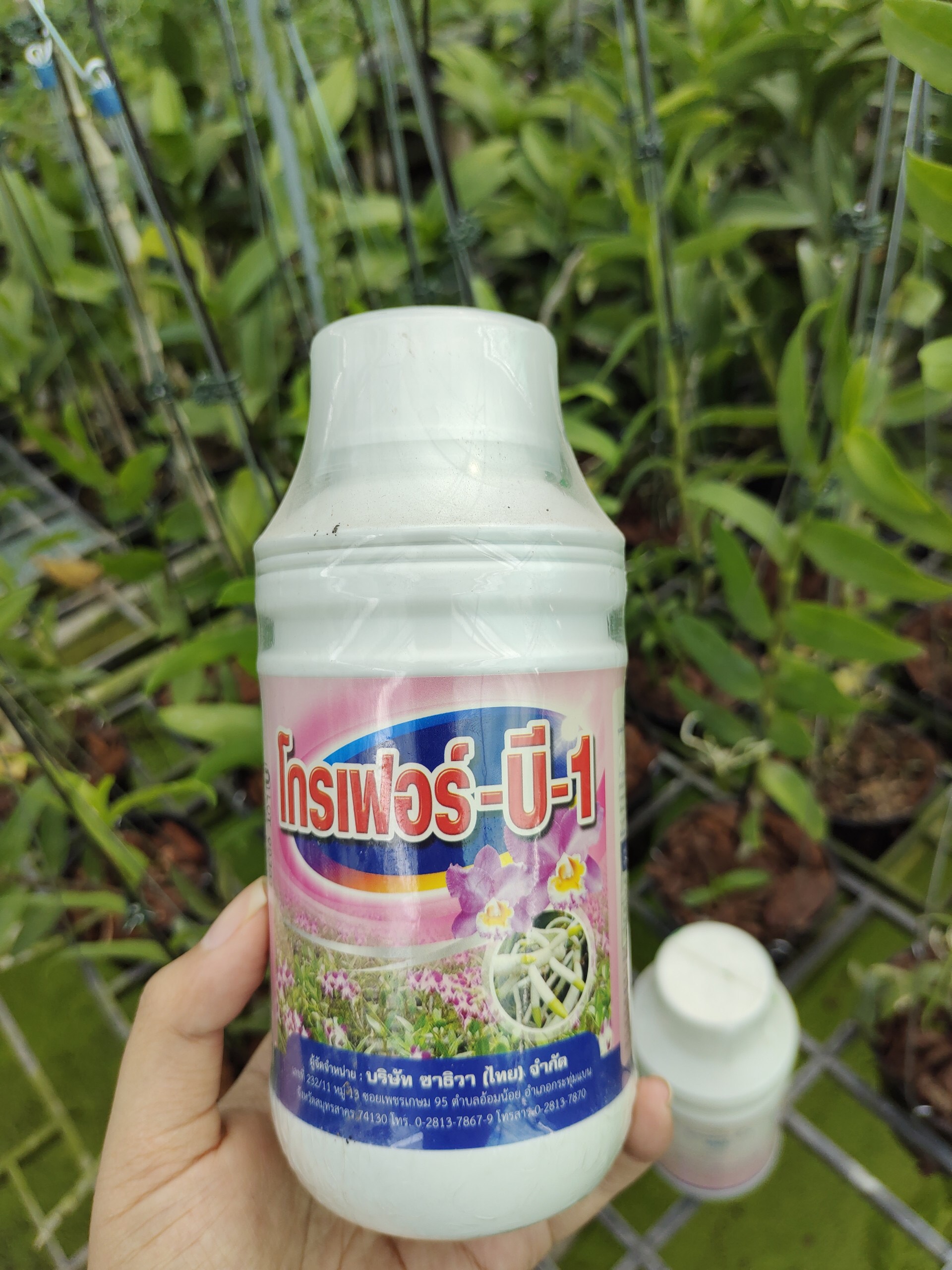 Phân Bón B1 Grofer Chính Hãng Nhập Khẩu Từ Thái Lan