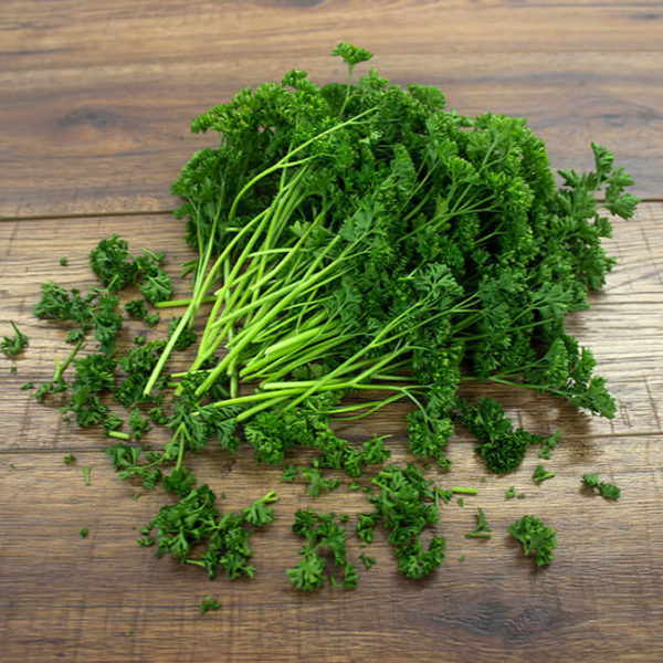 Chậu cây gia vị Ngò Tây Parsley
