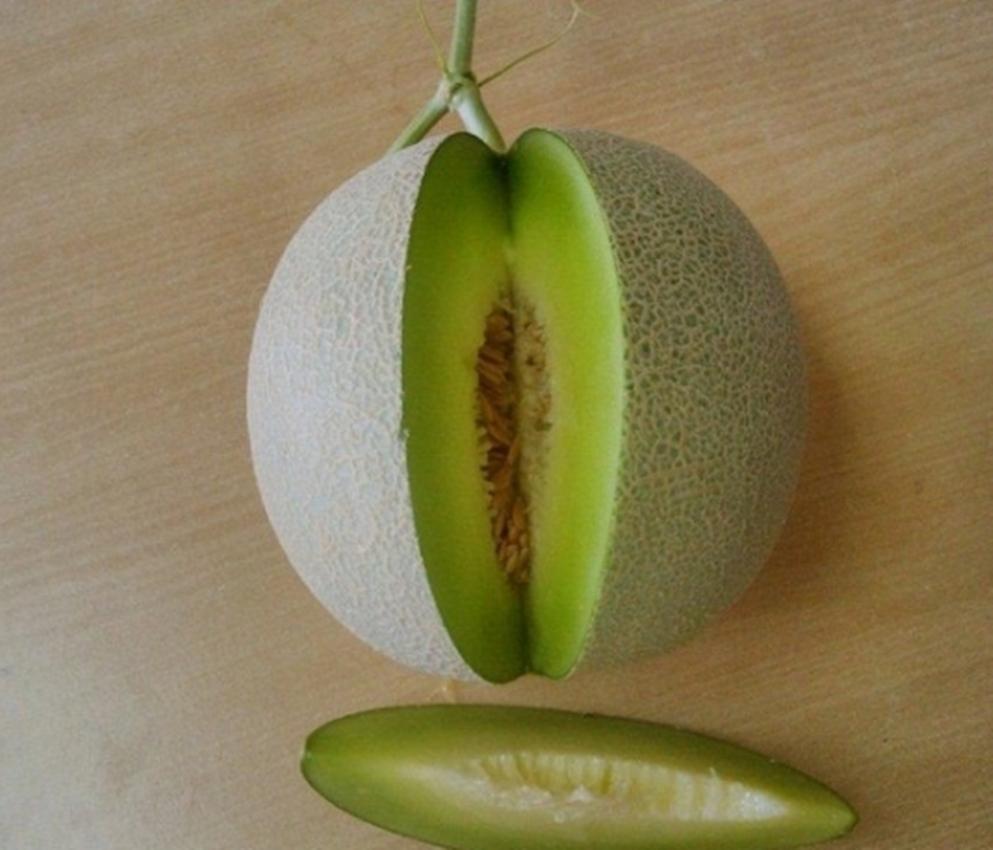 10 hạt giống dưa lưới tròn nga f1 - giống sai quả