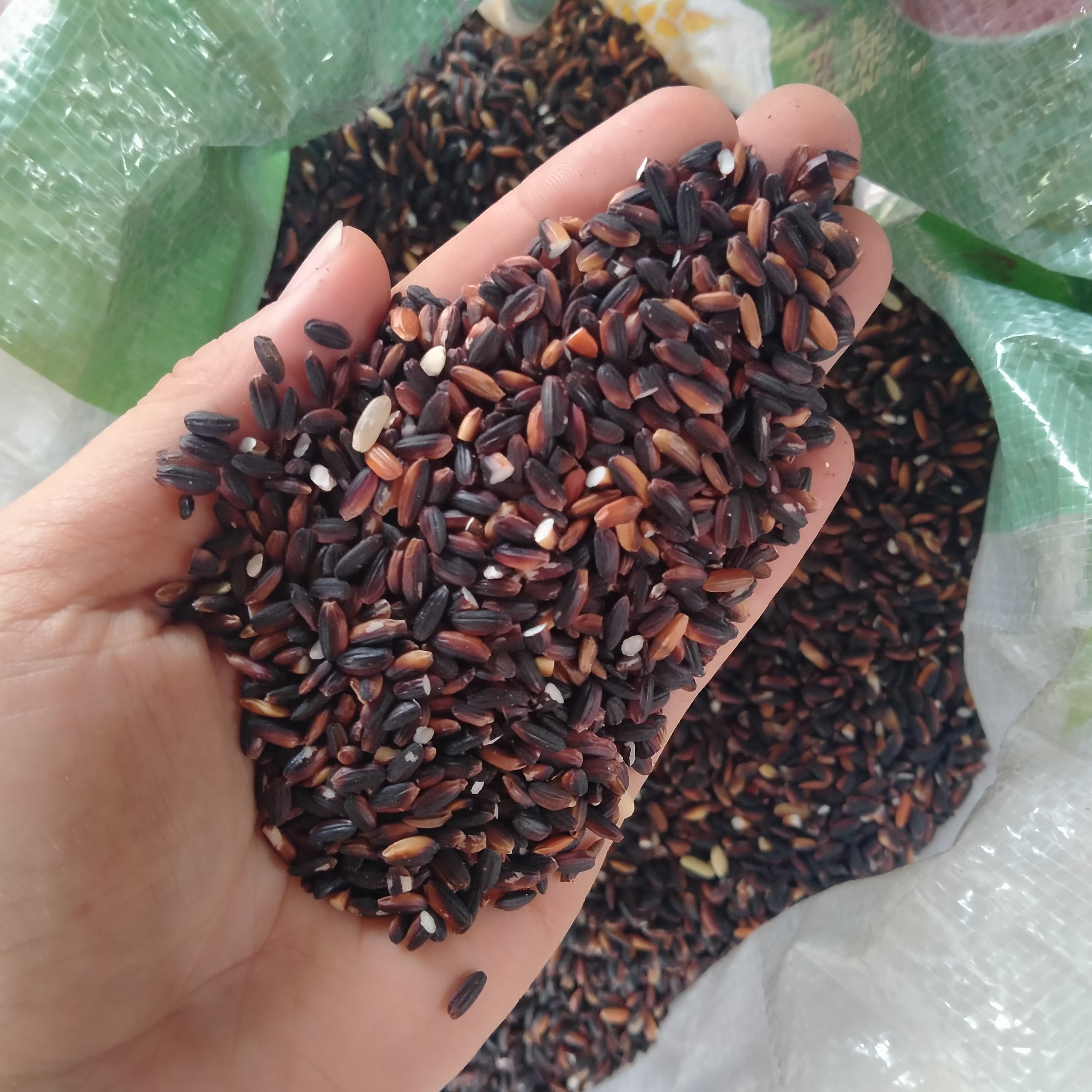 1kg gạo nếp cẩm - gạo nếp than thơm mềm ngọt dẻo