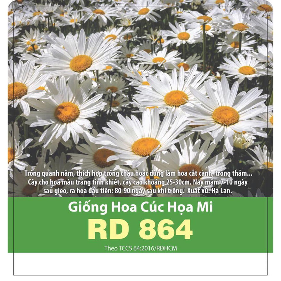 MJ237 Gói Hạt Giống Hoa Cúc Họa Mi Trắng 0.03gr Giống Mới Chịu Nhiệt 4 Mùa
