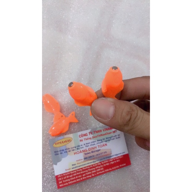 Combo ( 10 con nam châm câu cá nhựa )