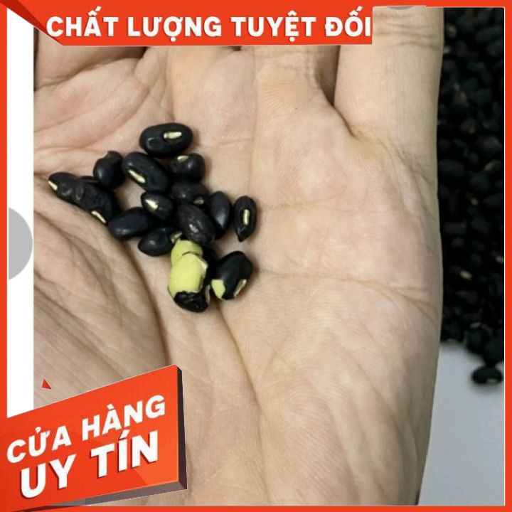 500g Đỗ đen - Đậu đen - Hạt Đỗ Đen- Hạt Đậu Đen Xanh Lòng quê
