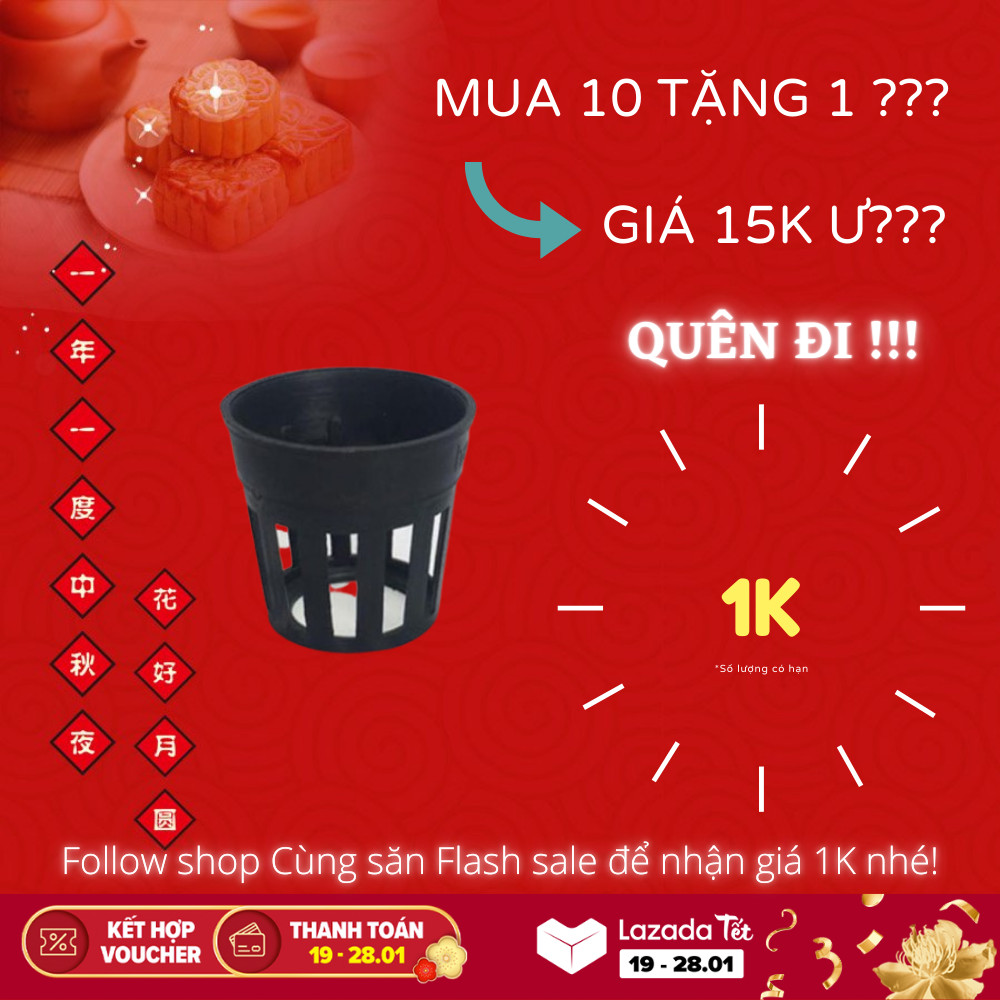 Chậu trồng lan cấy mô mua 10 tặng 1 miễn phí