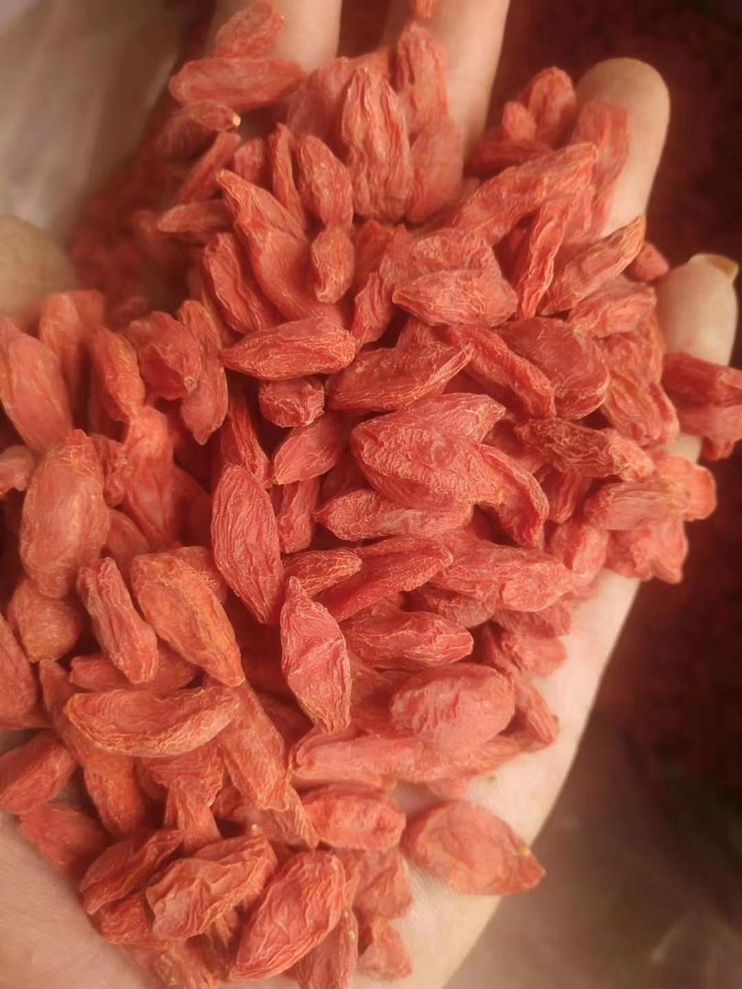 [Hcm] Sweet Dried Goji Berries 100Gr / 200Gr