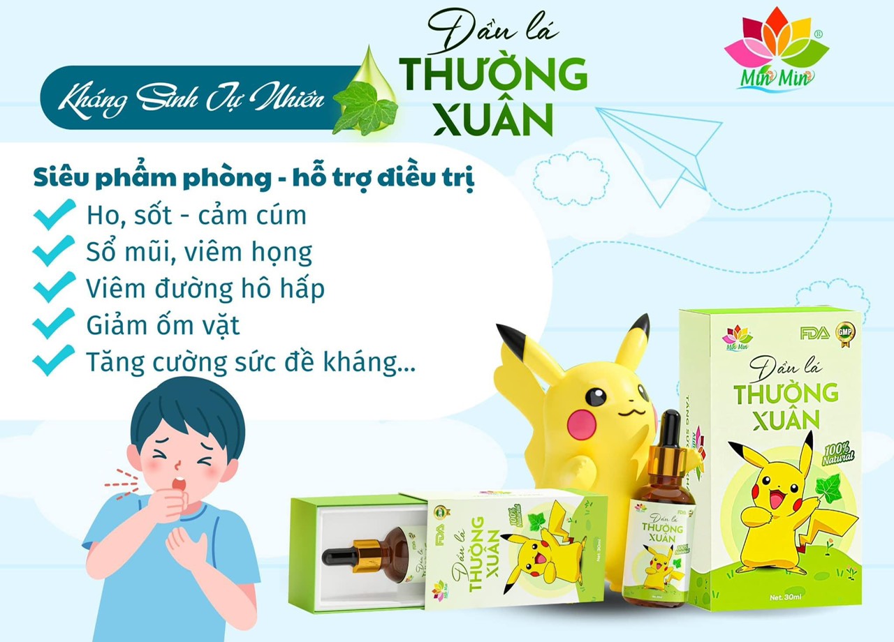 Dầu Lá thường xuân Min Min