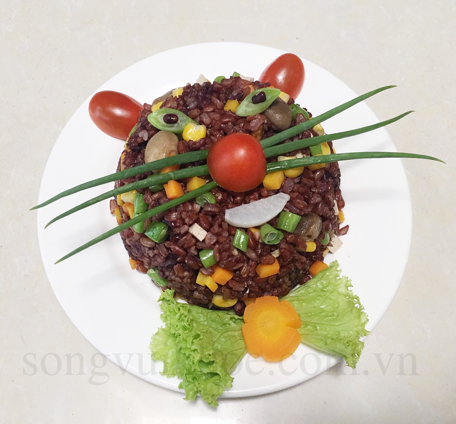 Gạo Lứt Đỏ Hữu Cơ (2kg)