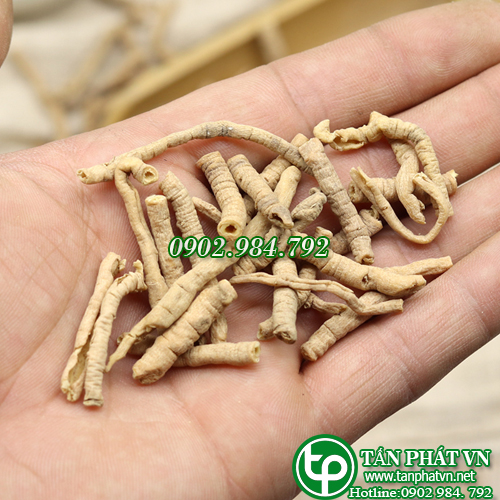 Viễn chí sấy khô 100g