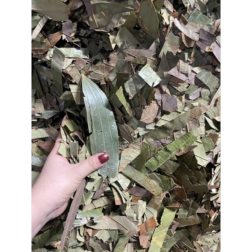 Lá Quế khô 100gr thơm ngon chuẩn xịn