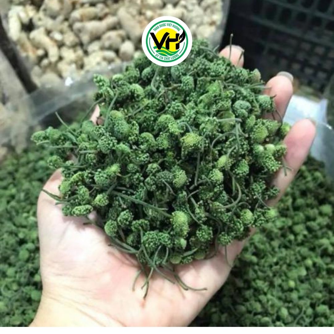 Nụ tam thất khô - 100gr, 200gr 500gr