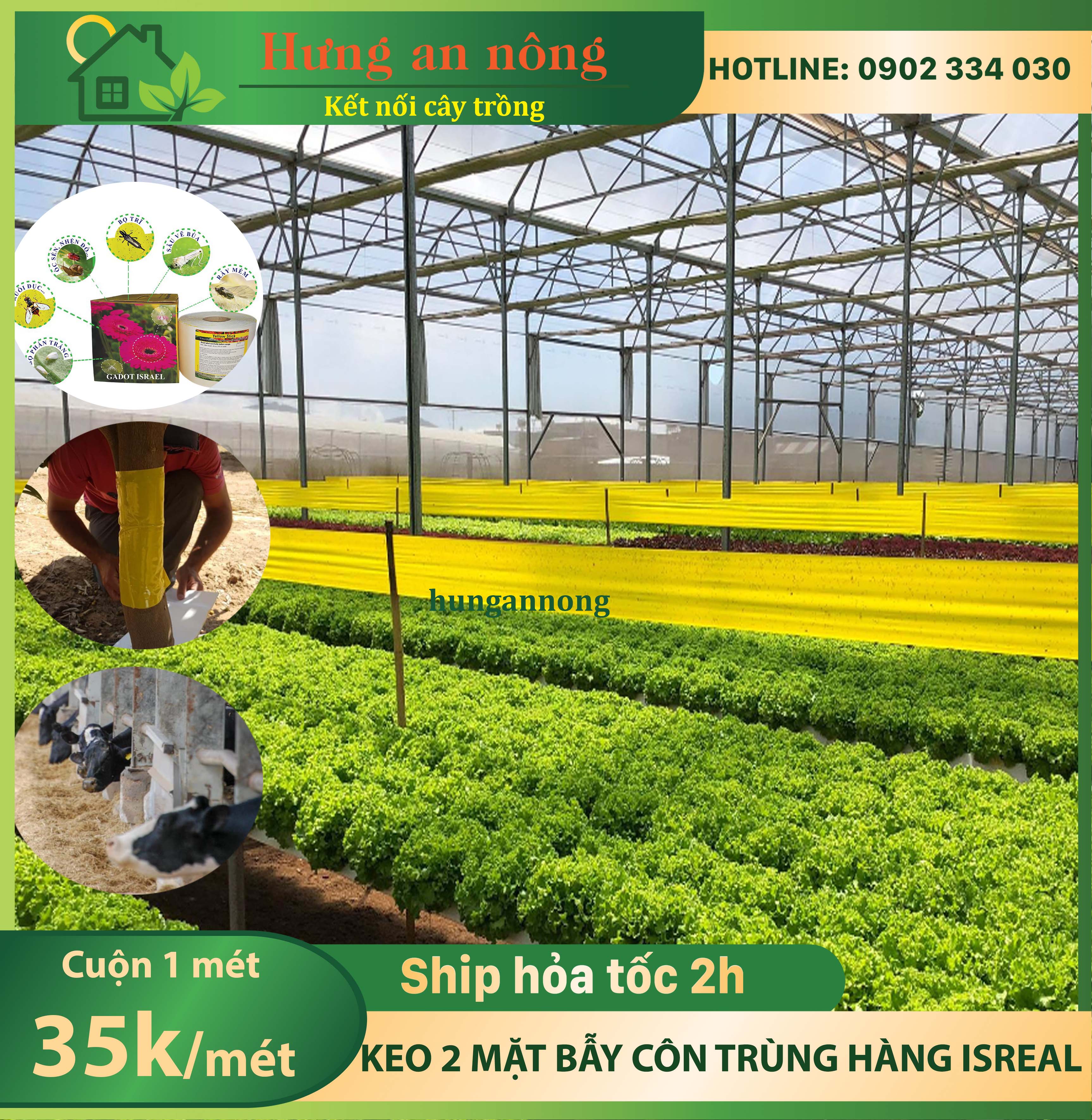 1 mét keo 2 mặt bẫy ong ruồi côn trùng có cánh, hàng Israel