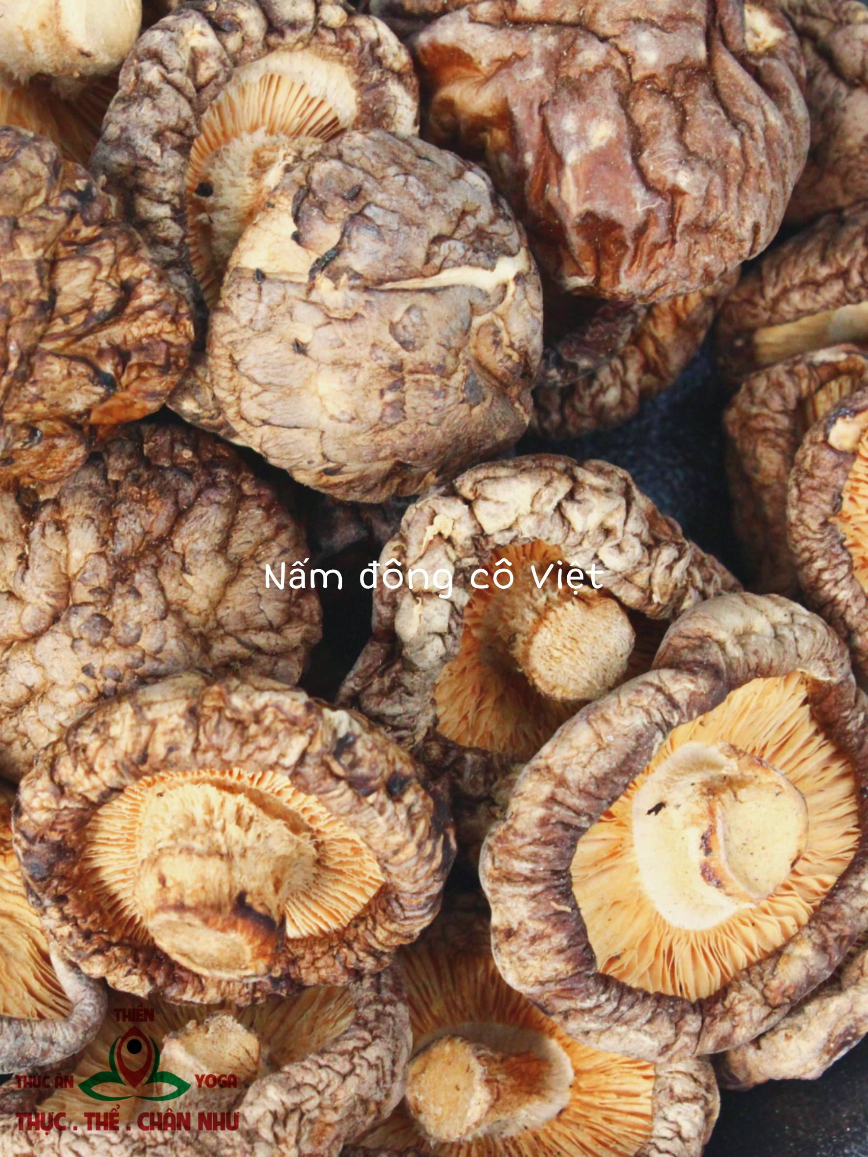 Nấm Đông Cô Việt Nam (100gr)