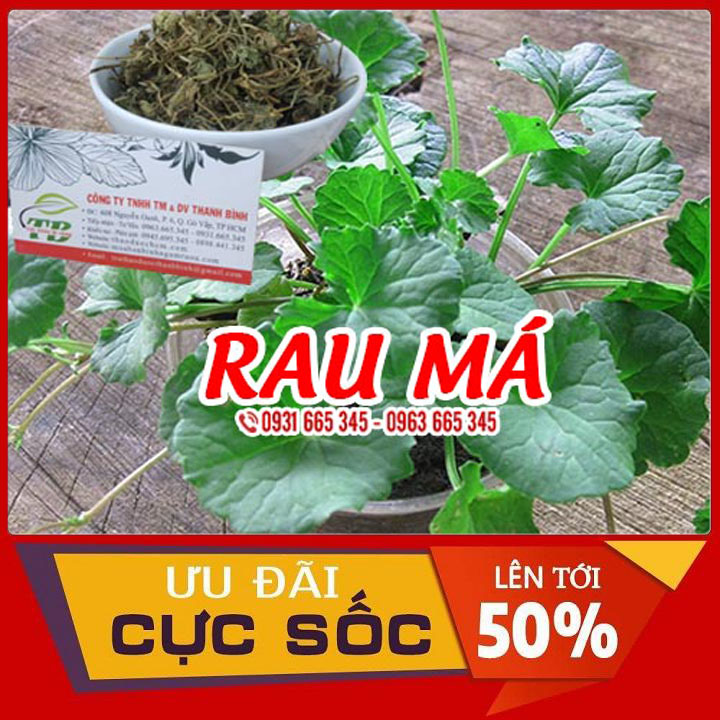 Cây lá rau má sấy khô 100g hàng cty - dược liệu thanh bình