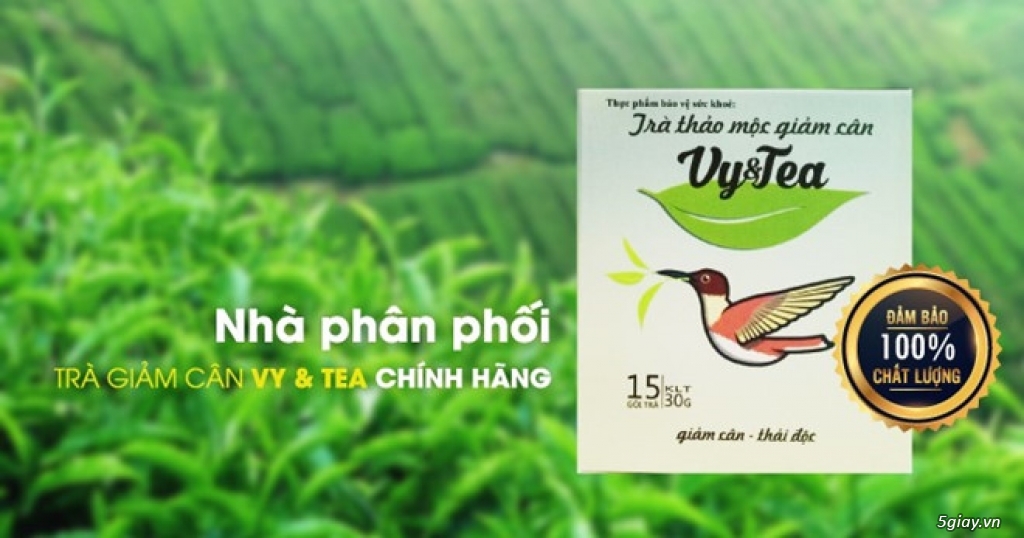 COMBO 5 HỘP GIẢM CÂN VY VA TEA (15 gói)