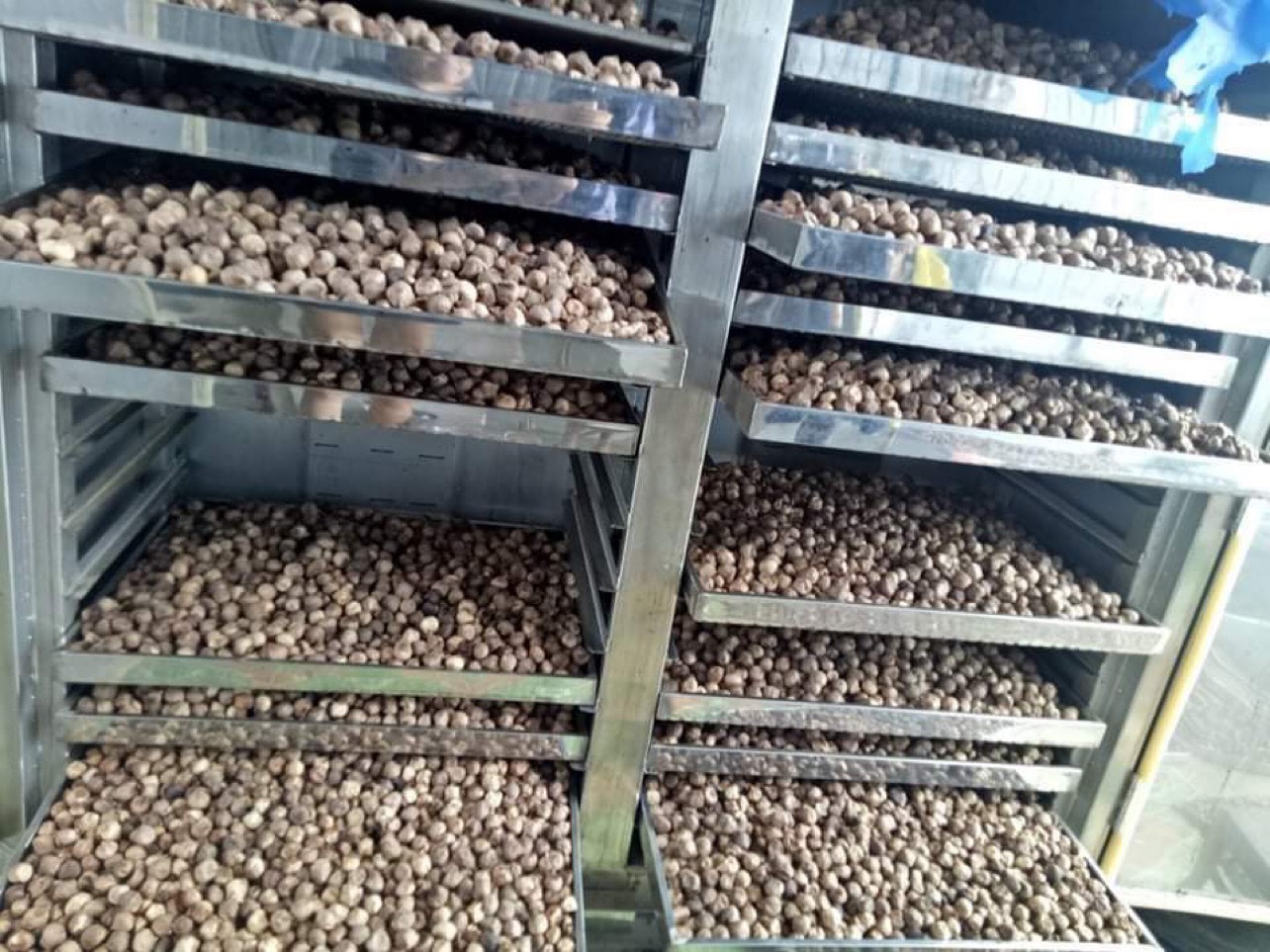 Tỏi đen cô đơn Huna home - (Hũ 500gram)
