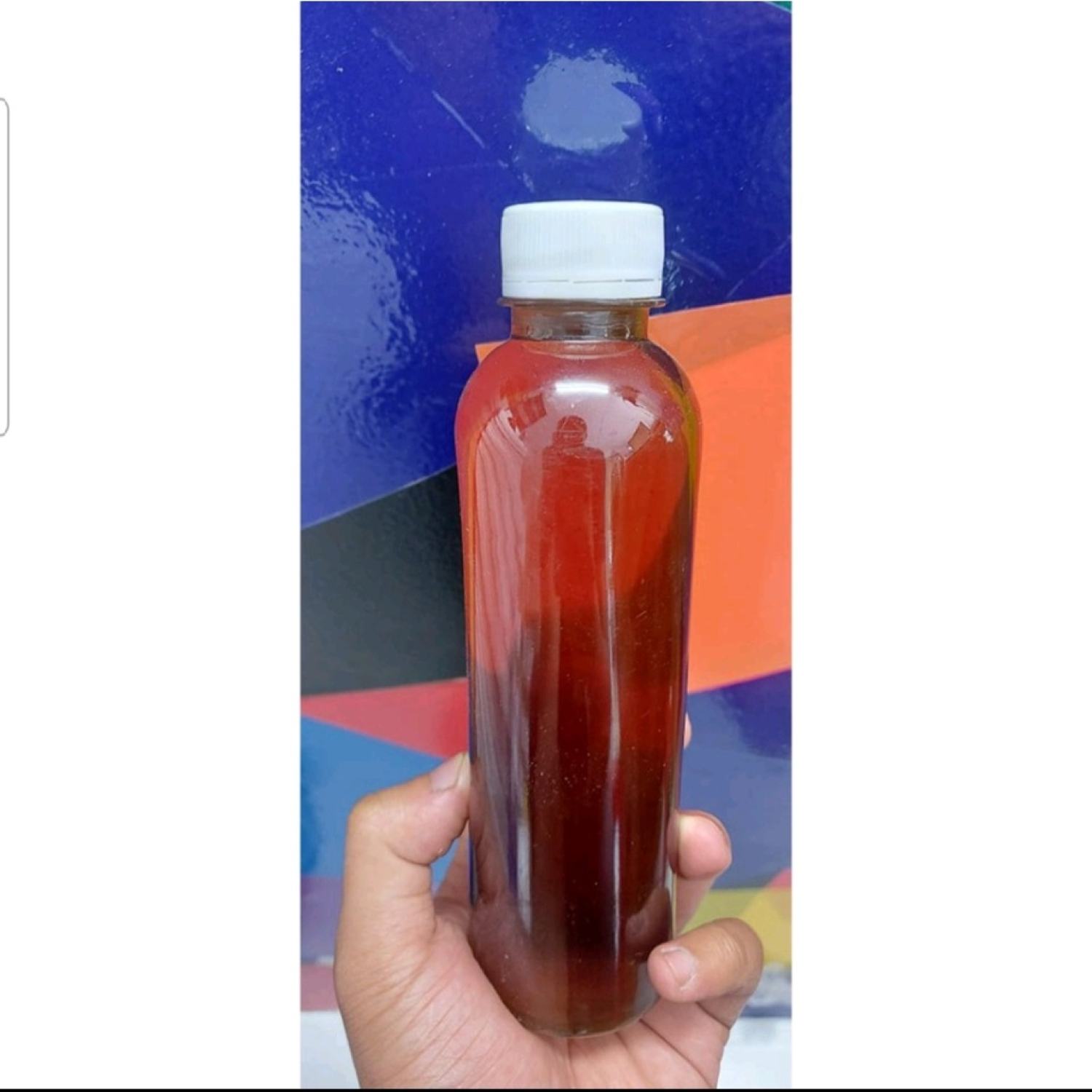 Nước cốt lá bàng - Thần dượᴄ của cá cảnh