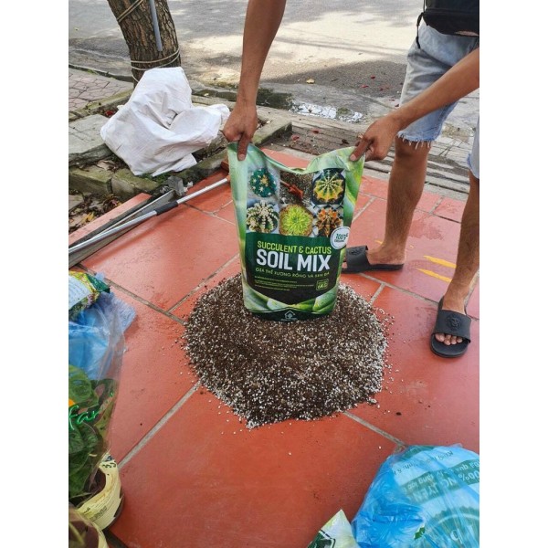 1 kg Giá thể trồng xương rồng giá thể trồng sen đá Soid MIX ( Mùn hữu cơ có độ ẩm)