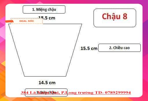 Chậu nhựa đen C8A (combo 10 cái) loại dày tốt