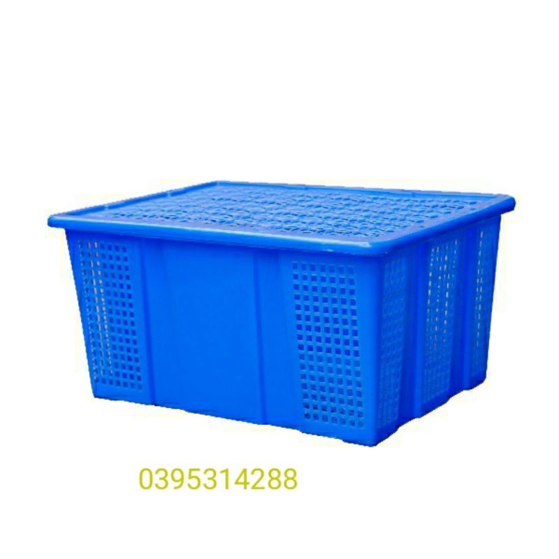 sóng trái cây có nắp ( đỏ ,dương,lá ,vàng)