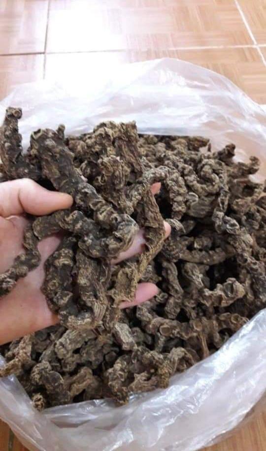Tam Thất Hoang 100gr