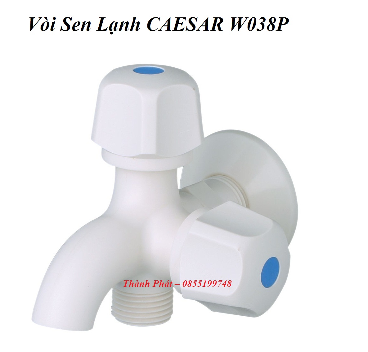 Shower cold caesar w038c, w038p