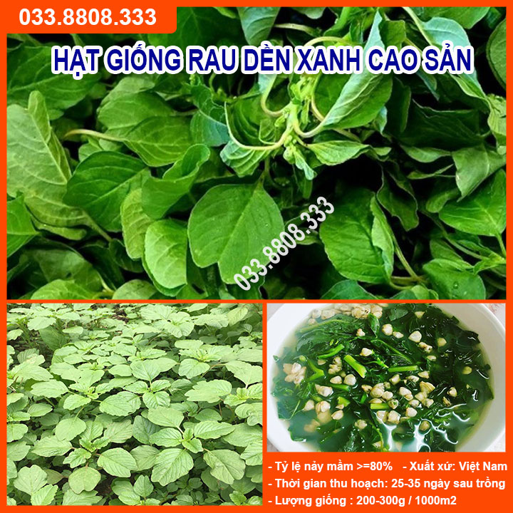 Hạt giống rau dền xanh 20gram -[,,{tỷ lệ nảy mầm c