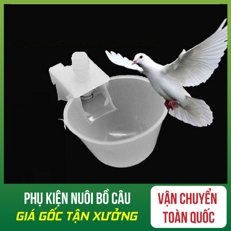 Combo 20 Máng Uống Tự Động Cho Chim Bồ Câu - Máng Uống Tự Động Cho Chim Bồ Câu - Máng Uống Tự Động Cho Chim - Máng Uống Tự Động