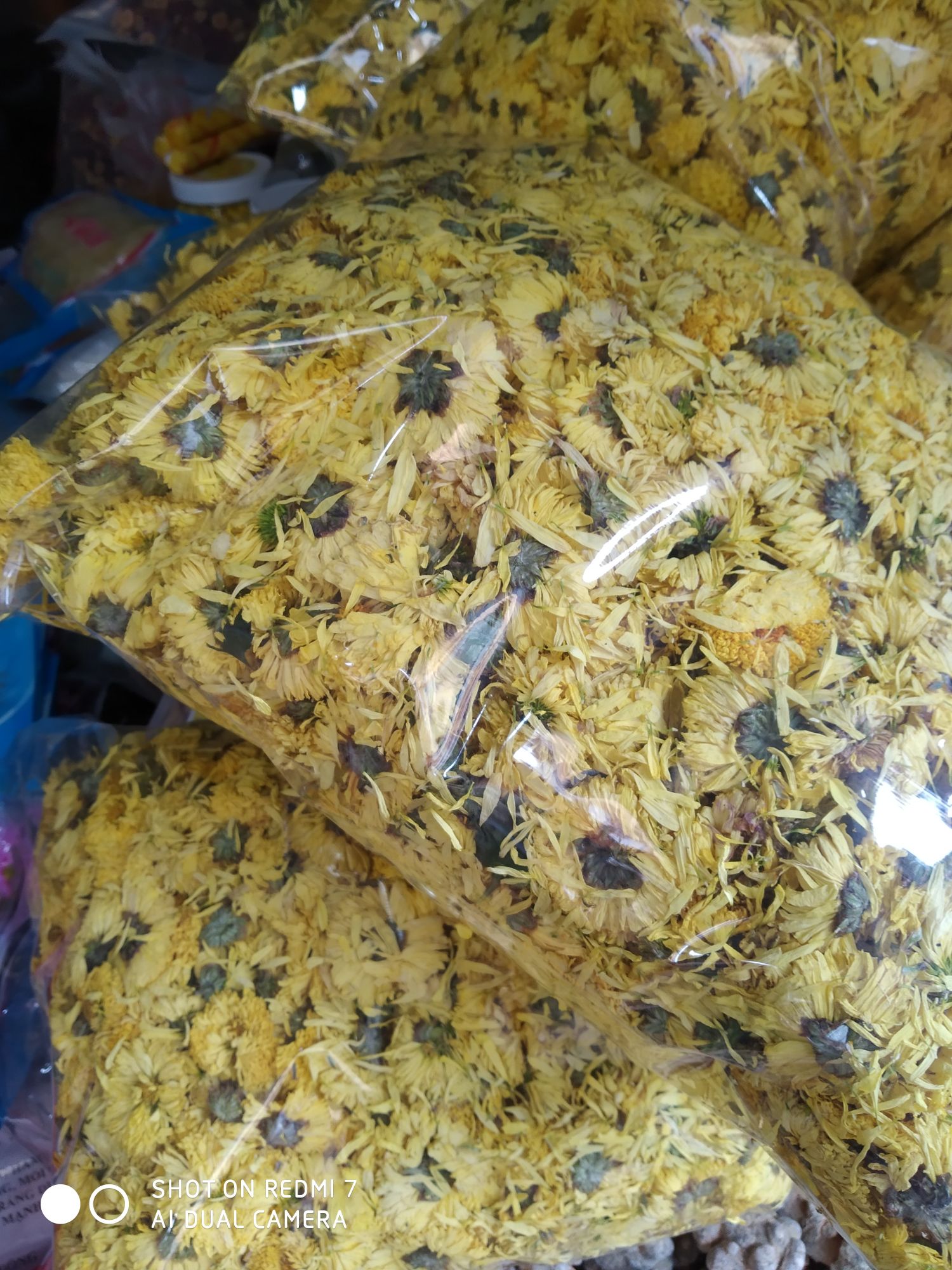 1kg trà hoa cúc vàng