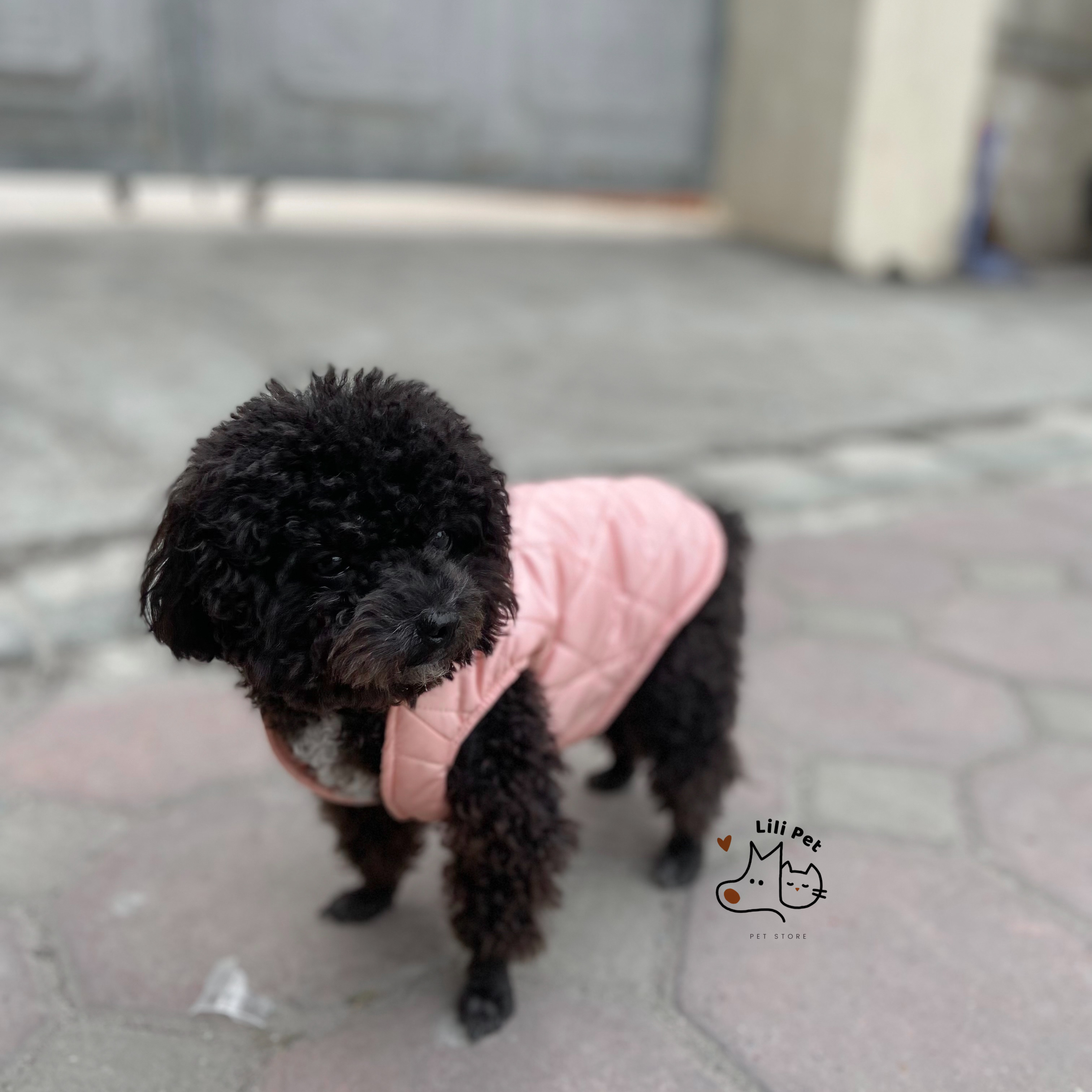 [SIÊU SALE] ÁO PHAO TRẦN BÔNG CHO CHÓ MÈO