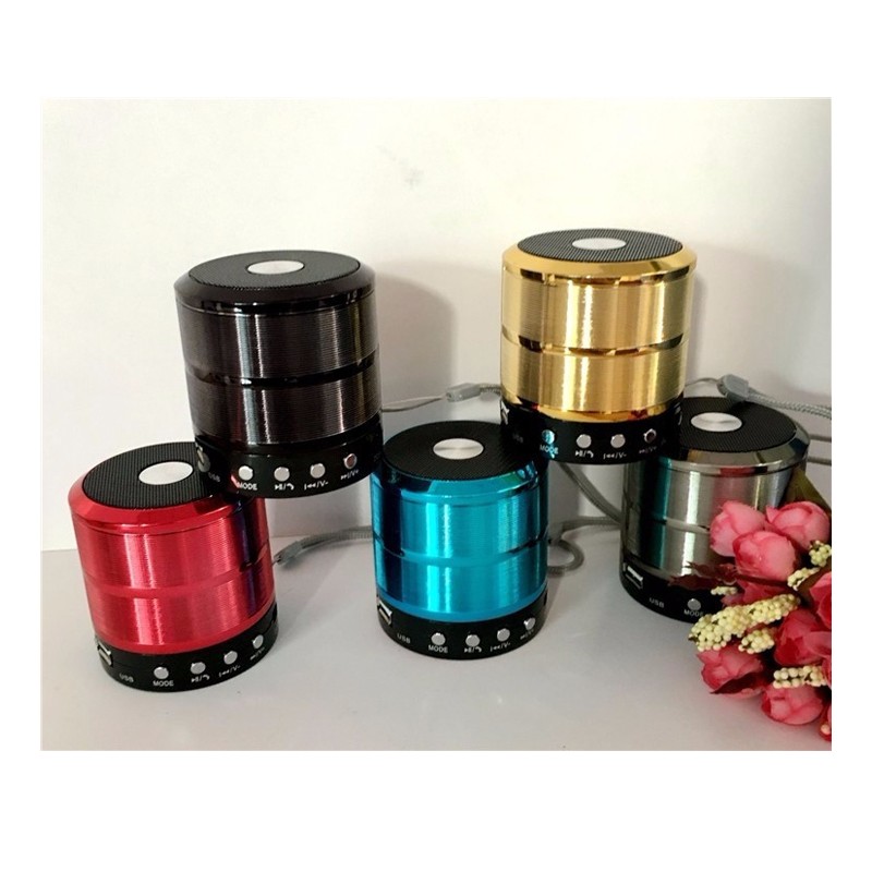 Loa bluetooth WS 887 (Giao màu ngẫu nhiên)