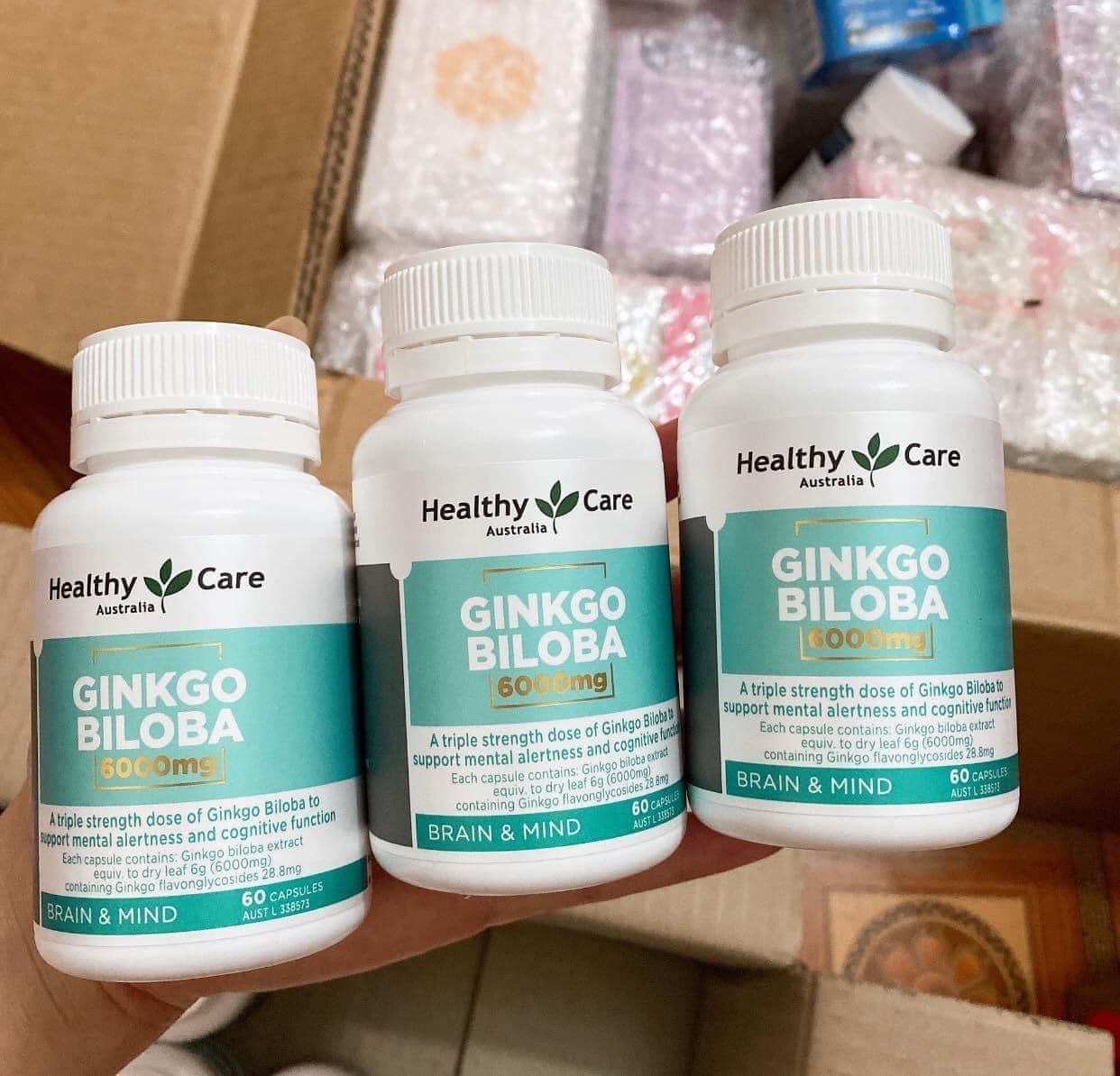 Healthy Care Ginkgo Biloba 6000mg