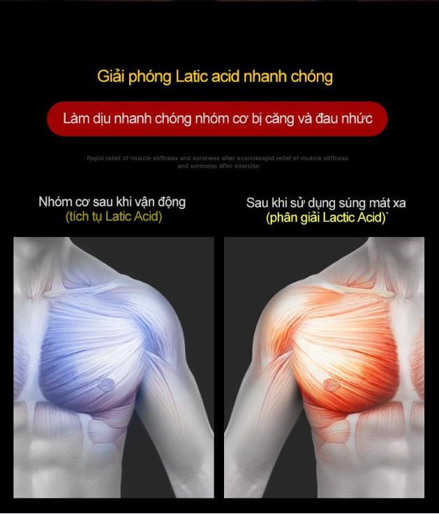 WorldMart MASSAGE SẢNG KHOÁI MỖI NGÀY CÙNG PHOENIX 7