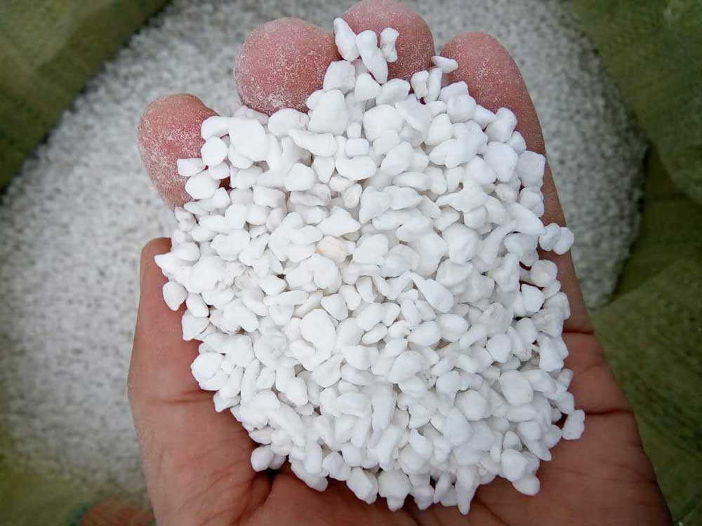 Đá trân châu đá Perlite gói 5dm3 ( 5 lit )  giá rẻ