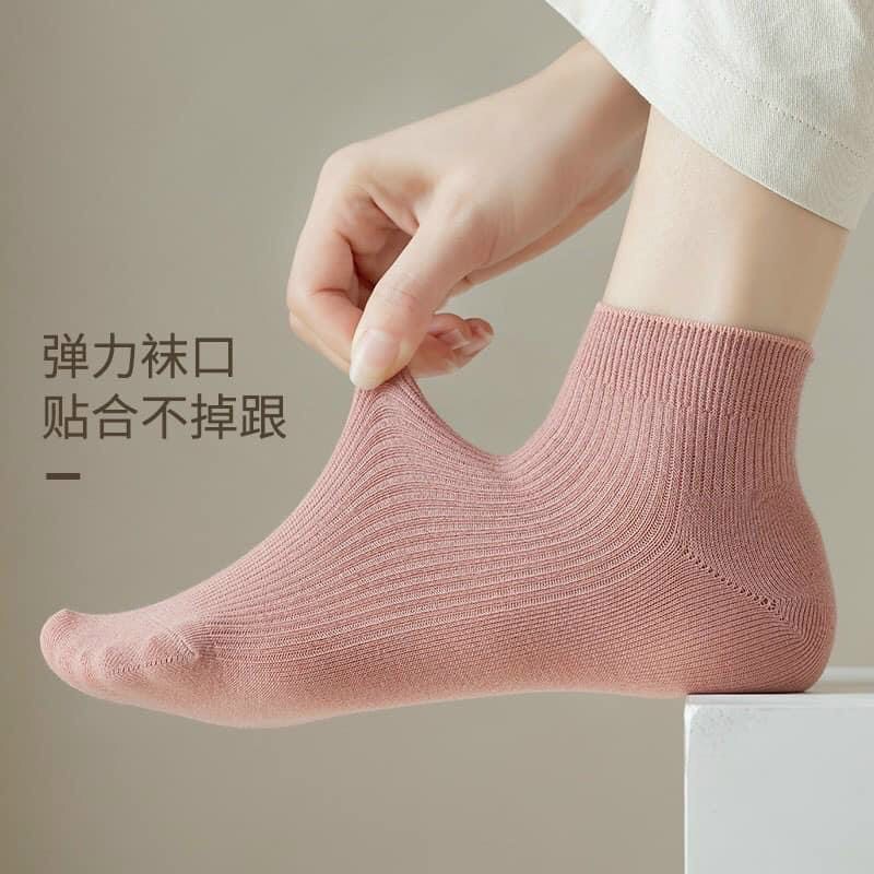 Set 10 Đôi Tất Len Gân Nữ Co Dãn Tốt Bền Đẹp