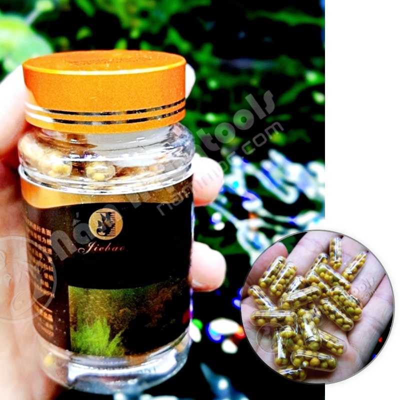 Viên phân nhét gốc | phân nhét nhả dưỡng chậm cho cây thuỷ sinh