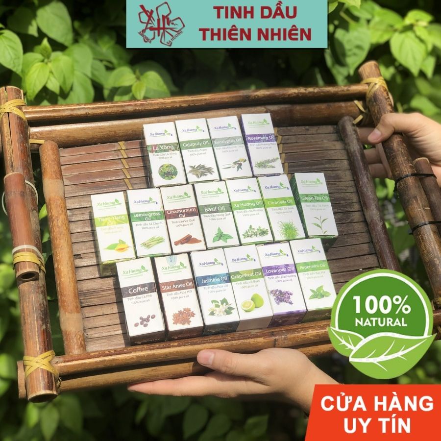 Tinh Dầu Xả Chanh Bạc Hà Tự Nhiên Lọ 10ml Ale