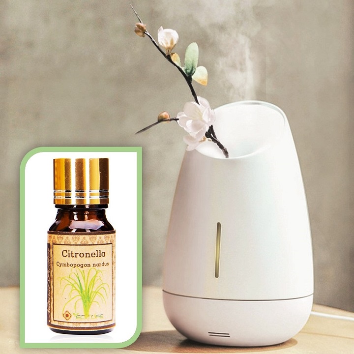 Tinh dầu đuổi muỗi, xông thơm sả java Ecolife