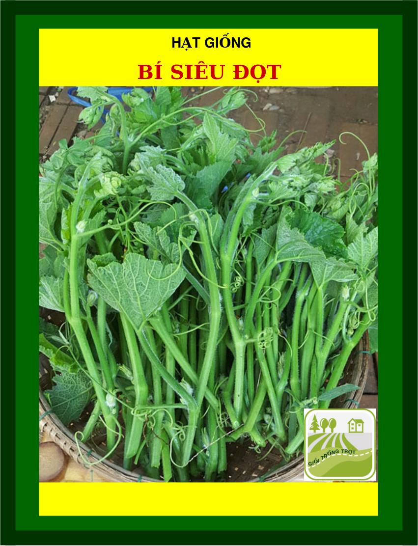 5Gram Hạt Giống Bí Siêu Đọt