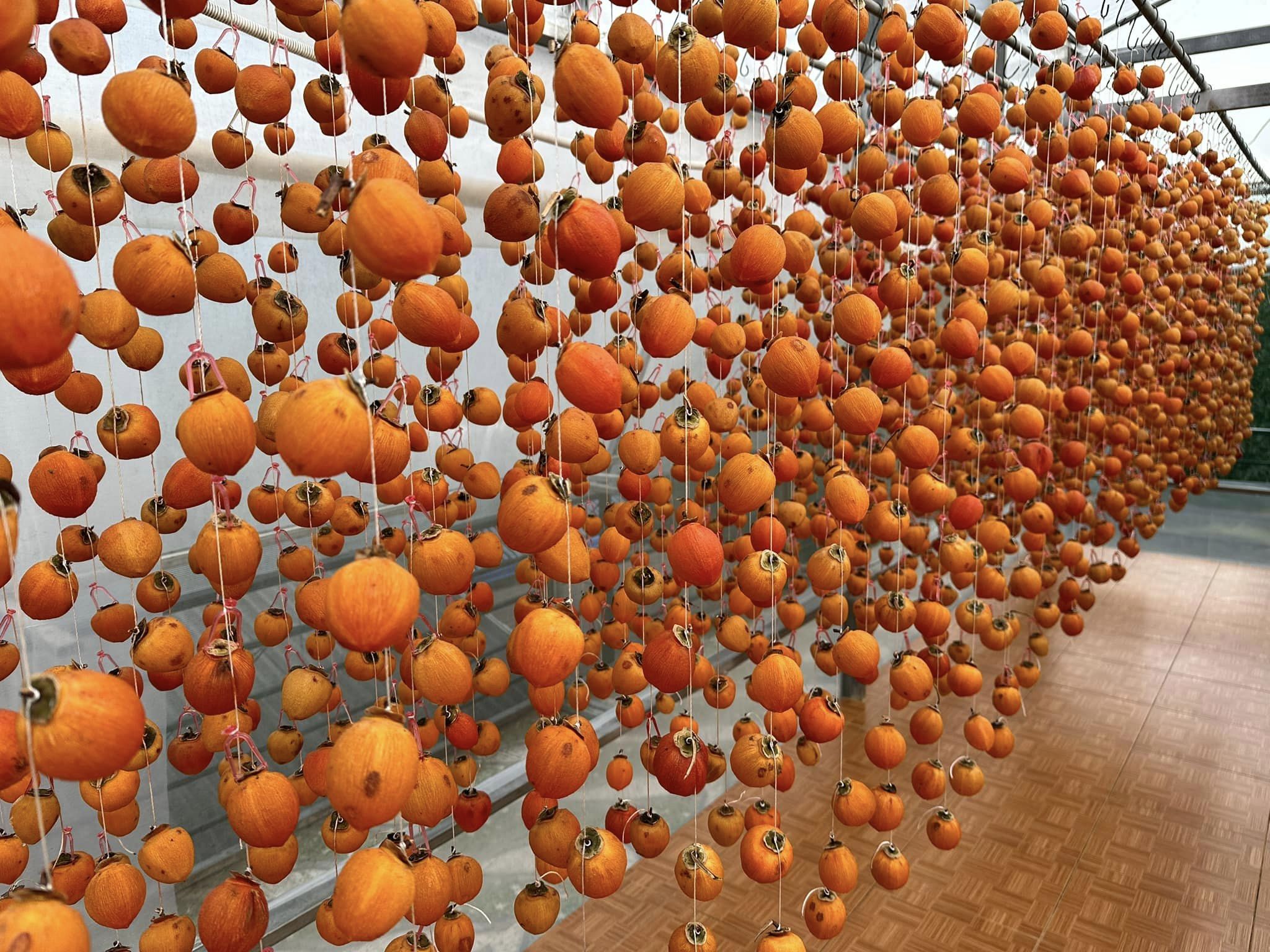 Hồng treo gió Đà Lạt 500gr
