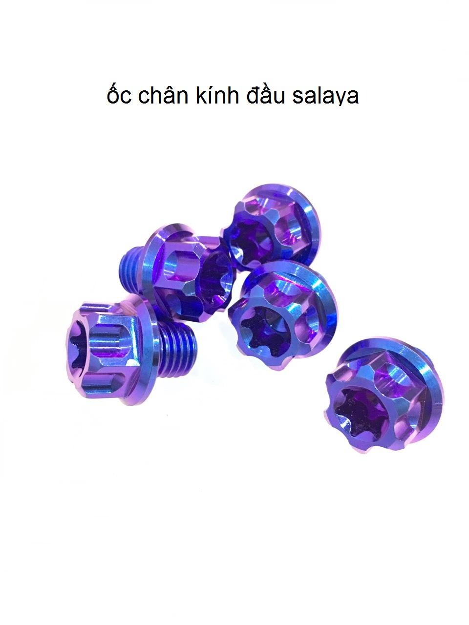 [HCM]ỐC CHÂN KÍNH GR5 ĐẦU SALAYA TITAN VÀ XANH NGỌC M2 THUẬN HOẶC NGƯỢC