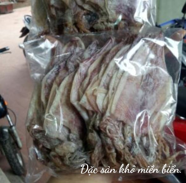 10 con MỰC KHÔ như hình