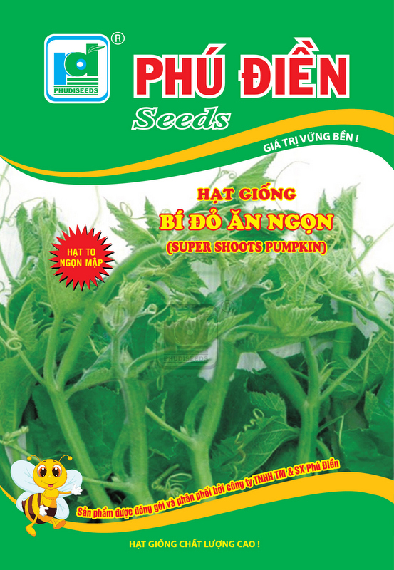 Hạt giống bí ăn ngọn siêu ngọt hạt to, ngọn mập