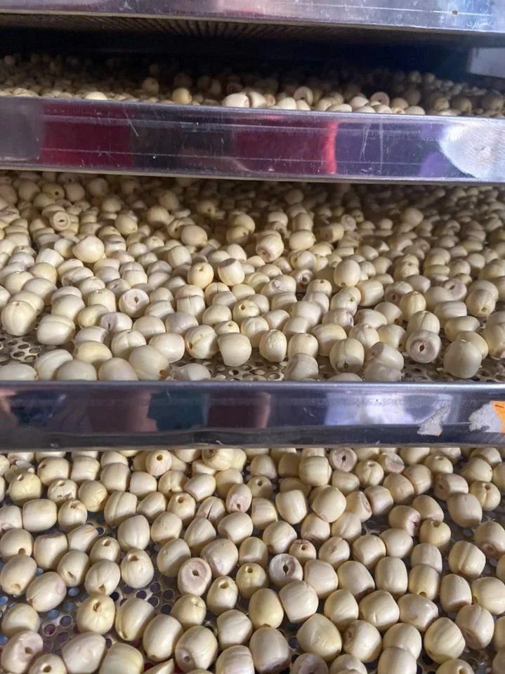 Hạt Sen Sấy Mộc Truly Hue’s - 100gram