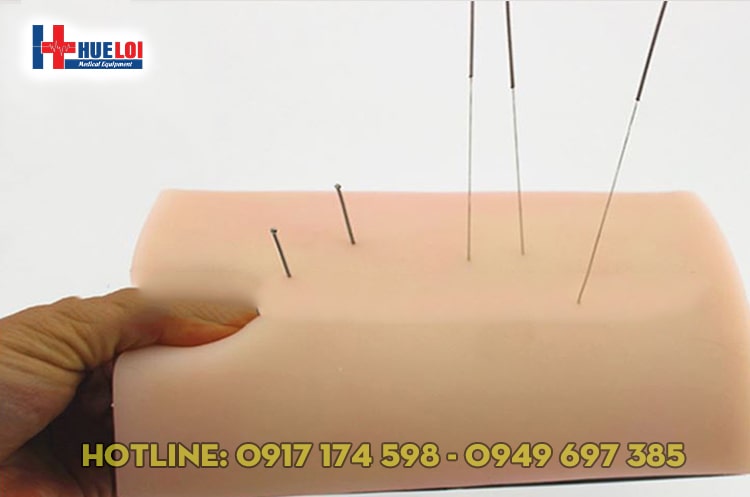 Mô hình da người châm cứu