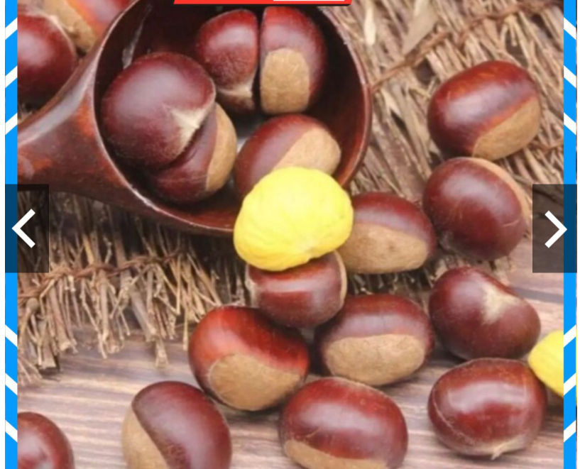 1 kg hạt dẻ tươi